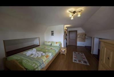 Casa de vacanta Ranca - 10