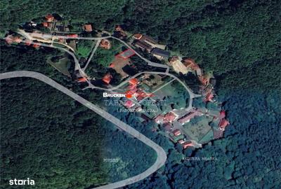 Spațiu comercial, în Pădurea Neagră - 1