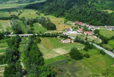 Teren de 10176 mp, în Mihăești - 2