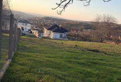 Spațiu comercial, în Vlădiceni - 1