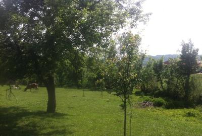 Teren Construcții intravilan de 2775 mp, în Poiana - 1