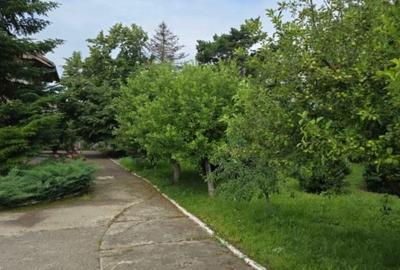 Casă individuală cu 17 camere cu Teren 2231 Mp în Pasărea - 6