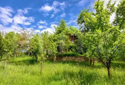 Casă cu 3 camere cu Teren 4873 Mp în Moldovenești - 11