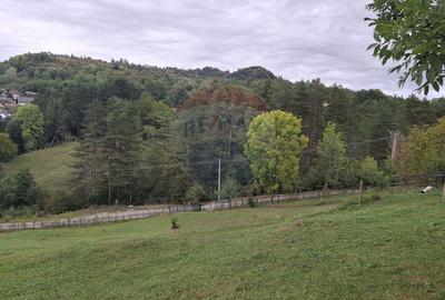 Teren de 4000 mp, în Moroeni - 3