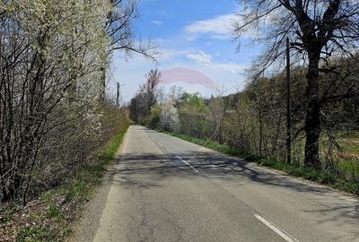 Teren Construcții intravilan de 10000 mp, în Nemțișor - 13