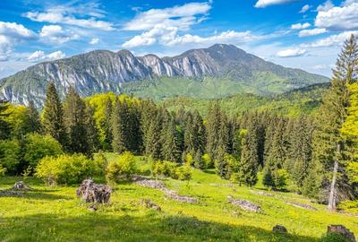Teren intravilan cu potential turistic si de agrement, zona Trei Brazi - 14