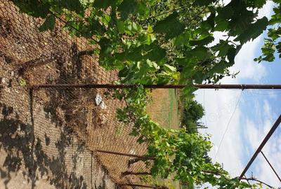 Casă cu 4 camere în Moșneni - 10