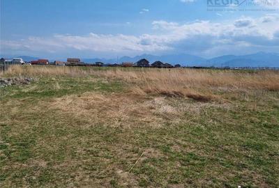 Teren Intravilan de 1511mp cu PUZ aprobat zona Sanpetru - 4