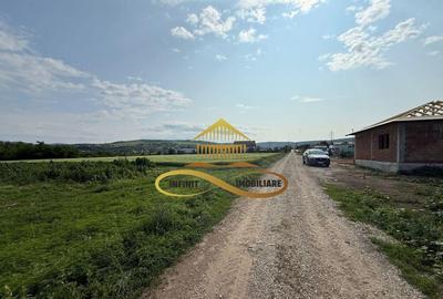 Teren intravilan de Vanzare in Magura Bacau - 5