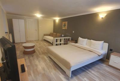Apartament decomandat, mobilat în Centrul Istoric - 2