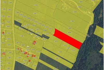 Rasnov, judetul Brasov - 2