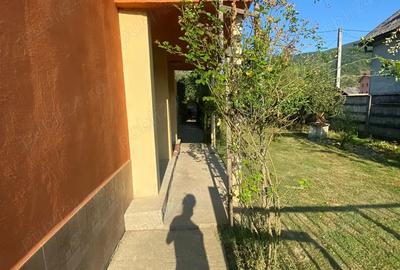 Vand casa comuna Chiuiesti Vand casa comuna Chiuiesti - 3