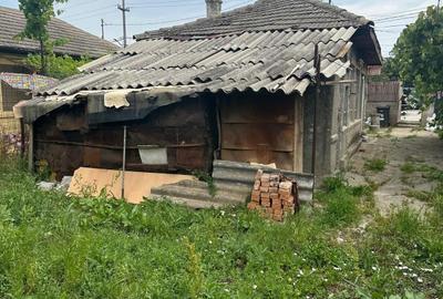 Casă cu 3 camere în Cernica - 2