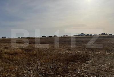 Teren de 5000 mp, în Ghercești - 2