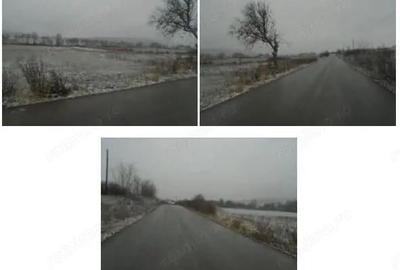 Teren Extravilan Corbita, ID: R1966413 - 3