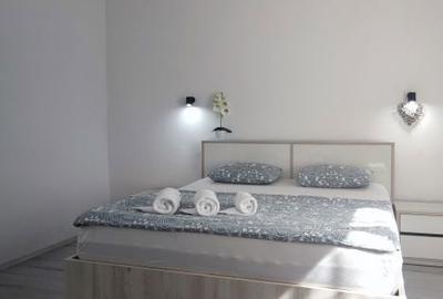 Casă cu 1 camere în Lazaret - 4