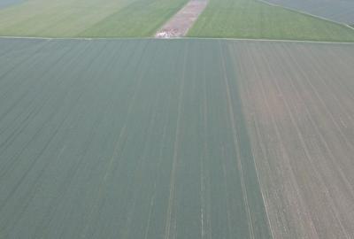 Giarmata Mare /teren 3,8 ha/preț  4,5 euro /mp - 3
