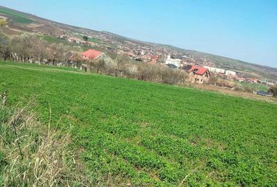 Teren de 3300 mp, în Râciu