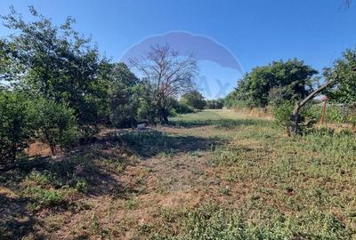 Teren construcție, în Balotești - 12