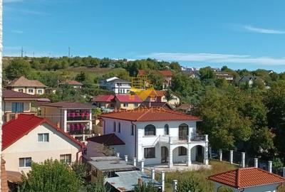 2 Camere, Dambu Rotund, C Baciului, Fabrica de Sport,18 Gym,Mega Image - 6