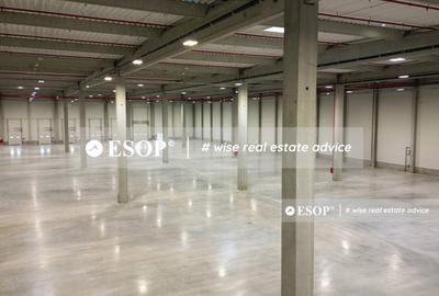 Spațiu industrial, de 5,000 mp, în Mureșeni - 3