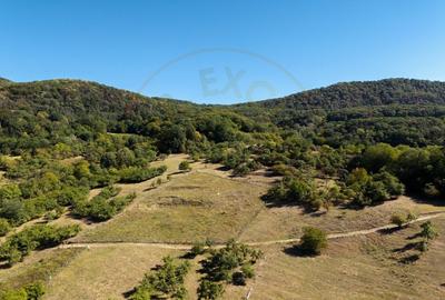 Terenuri 12.225 mp - Ramnicu Valcea, Aranghel - 4