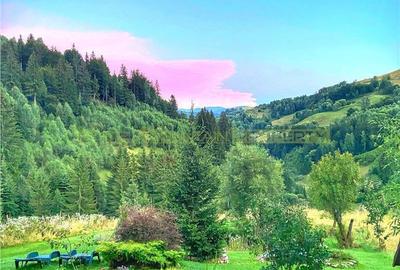 Raritate| Teren de vis de 6 ha de vanzare in Pestera Brasov - 15