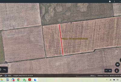 Teren 11.800 mp Tunari TARLAUA 24N - 4