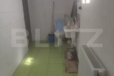 Casă cu 3 camere cu Teren 3500 Mp în Lechința - 1