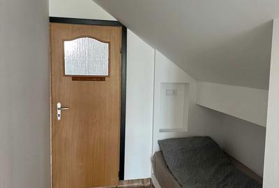 Casă cu 2 camere în Viișoara - 7
