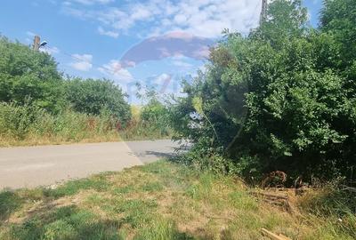 Vanzare Teren 1,300mp Balotesti / Strada Tarina Veche/Rezidential - 3