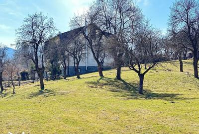 Teren de 10660 mp, în Bran - 9