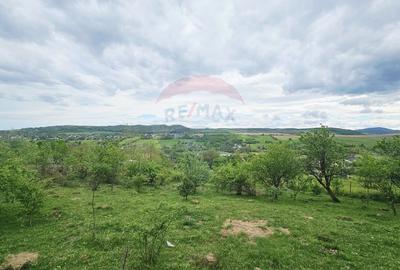 Teren Construcții intravilan de 5350 mp, în Dobreni - 7