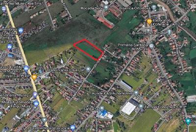 Teren intravilan de 2900 mp, în Sântana de Mureș - 2