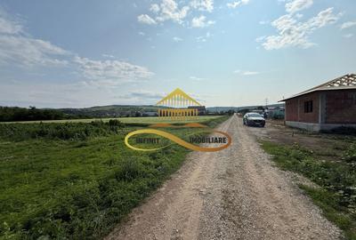 Teren Construcții intravilan de 500 mp, în Crihan - 4