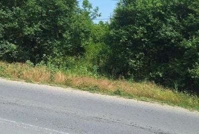 Butimanu Teren Intravilan Utilitati OFERTA - 4