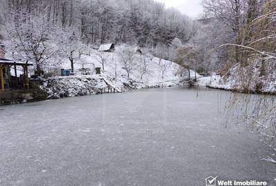 Casa de vacanta, cu lac, 5640 mp teren, Huta, com. Chiuiesti, jud. Cluj Casa de vacanta, cu lac, 5640 mp teren, Huta, com. Chiuiesti, jud. Cluj - 37