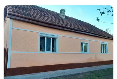 Casă cu 3 camere cu Teren 780 Mp în Central - 4