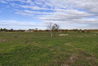 RECO teren intravilan Cefa cu proiect casa RECO teren intravilan Cefa cu proiect casa - 1