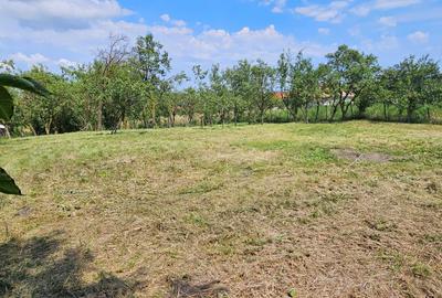 Spațiu comercial, în Boju - 5