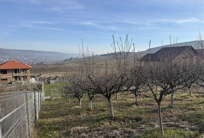 Spațiu comercial, în Chinteni - 1