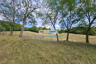 Teren de 2700 mp, în Curtea de Argeș - 5