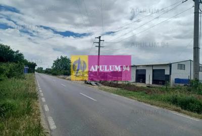 Teren de 1900 mp, în Săbăreni