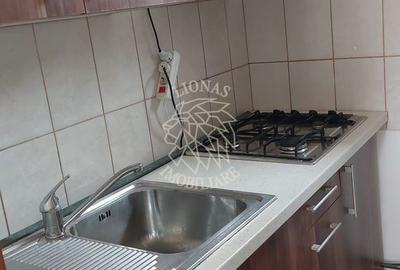 Casă cu 2 camere în Bociu - 20