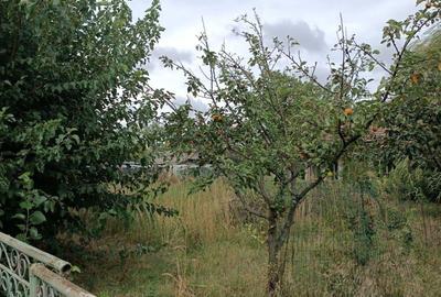 Casă cu 6 camere în Băneasa - 9