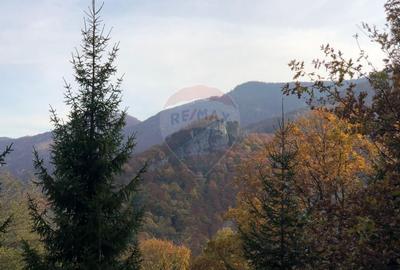 Teren extravilan de vanzare 1,019mp Lepsa Vrancea - 2