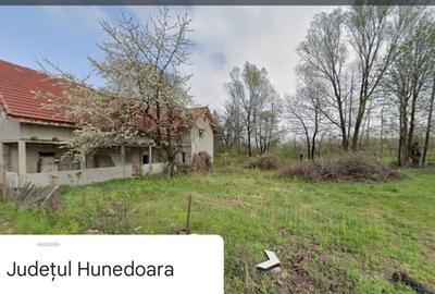 Casa rau de mori (hd) - 1