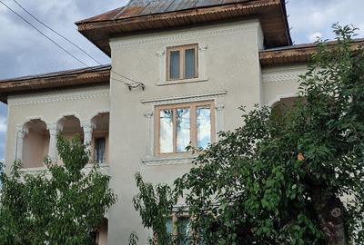 Vand casa la tara cu livada - 1