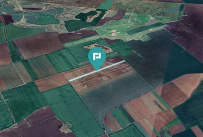 Teren 30.000 mp la drum asfaltat – Peciu Nou - 2