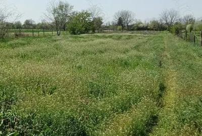 Teren de 6022 mp, în Ogrezeni - 8
